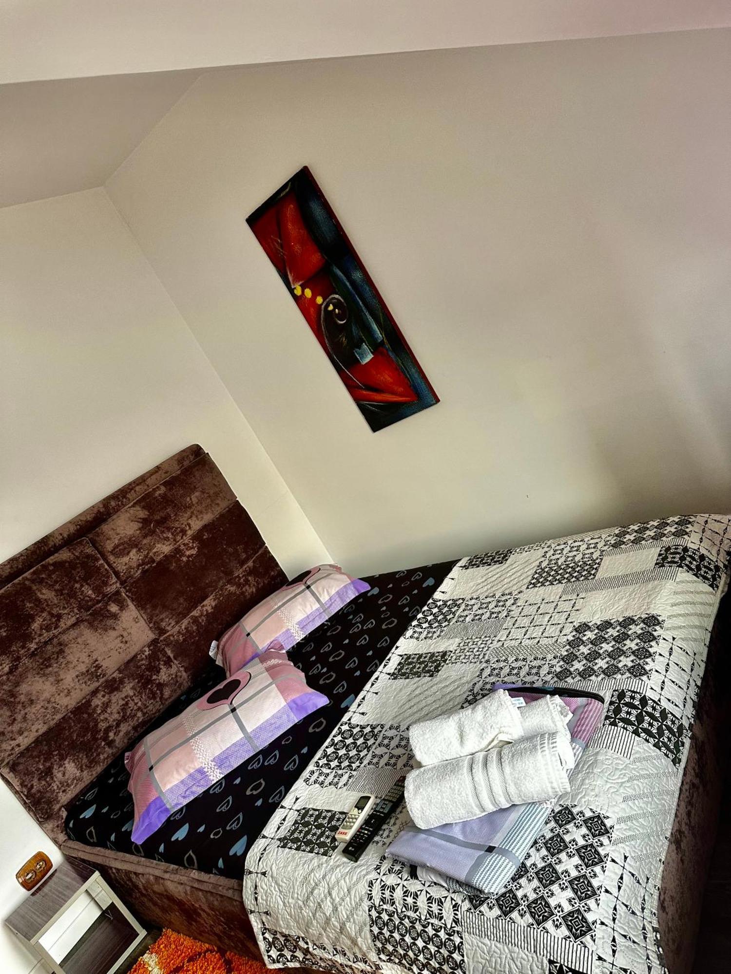 Vila Victor Dubova Luaran gambar